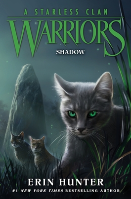 Warriors #5: A Dangerous Path (Warriors: The Prophecies Begin #5) (MP3 CD)