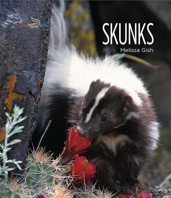 Malaysia skunk in Super Skunk